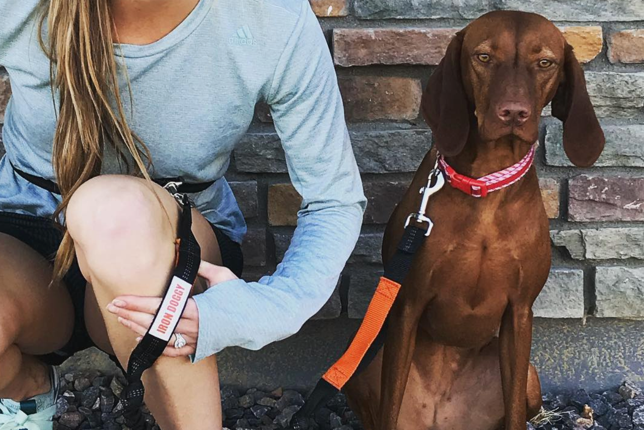 Iron Doggy™ Reinvents another Dog Running Leash