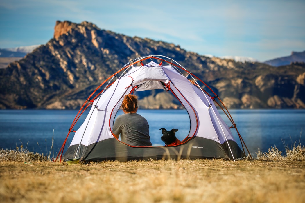 Tips for Camping with Your Dog