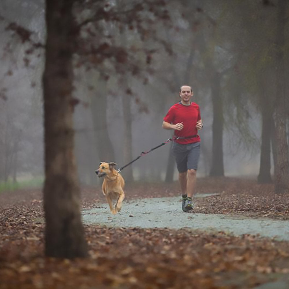 Running with Dog and Iron Doggy leash
